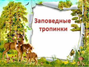 «По заповедным тропинкам»