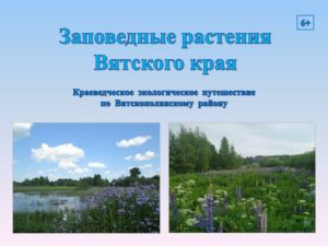 «Заповедные растения Вятского края»