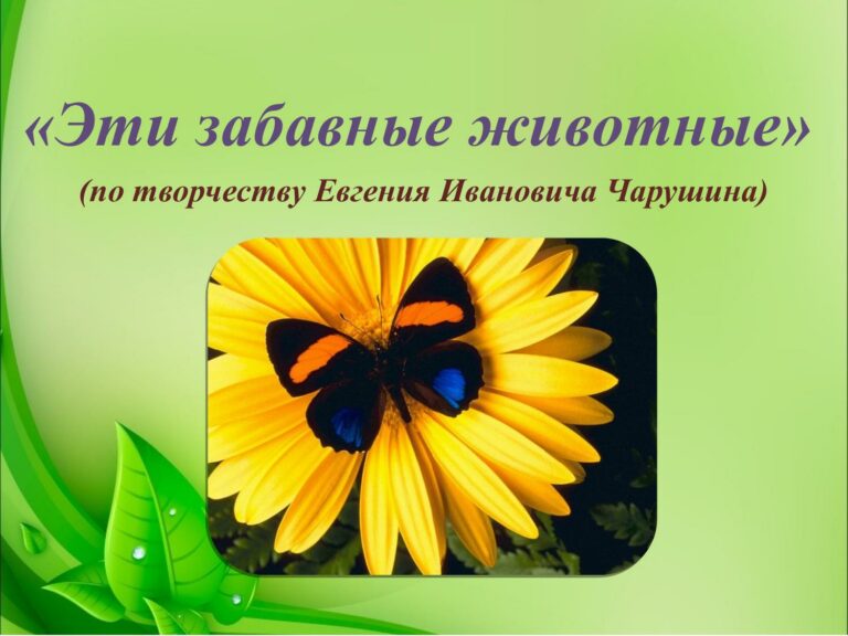 Эти забавные животные