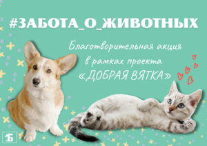 Забота о животных