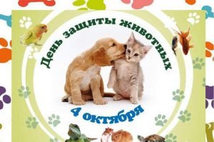 «День животных»  — игра- викторина