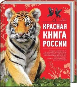 «Исчезающая красота» — экологический час