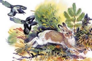 «Лес полон чудес» — игра-путешествие