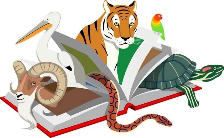 «По страницам Красной книги» — экологический час