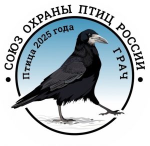 «Грач — птица года 2025» — региональный конкурс