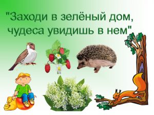 «Заходи в зелёный дом, чудеса увидишь в нем» – экологическая игра