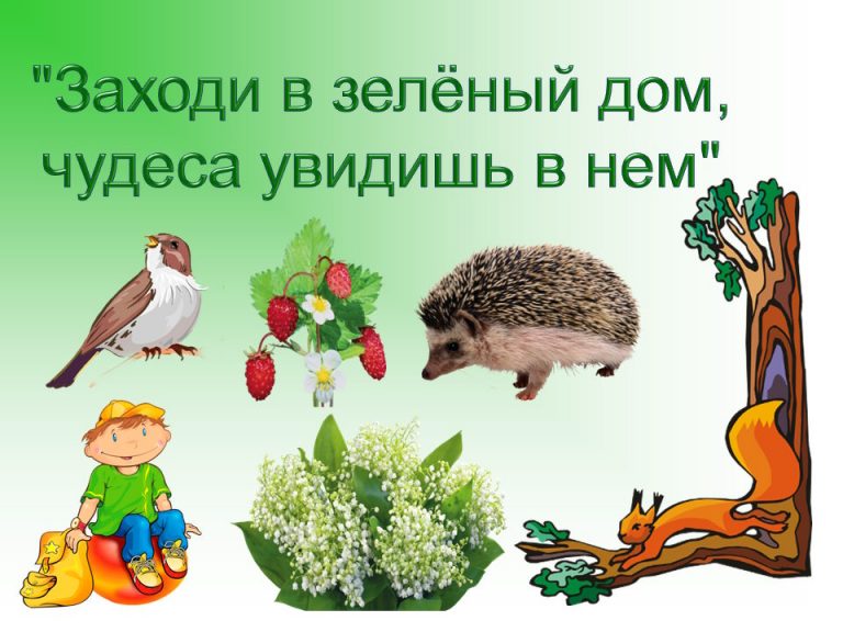 «Заходи в зелёный дом, чудеса увидишь в нем» – экологическая игра