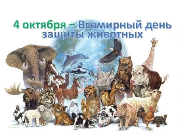 «День животных» — интеллектуальная игра