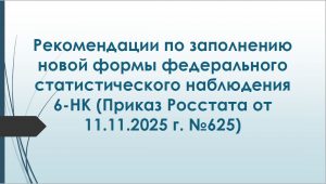 Рекомендации по заполнению новой формы федерального статистического наблюдения 6-НК(Приказ Росстата от 11.11.2025 г. №625)