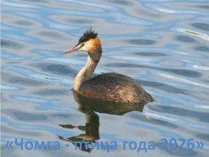 «Королева водоёмов» — час открытий и познаний