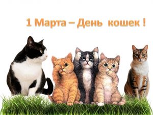 «Пушистые истории» — познавательный час