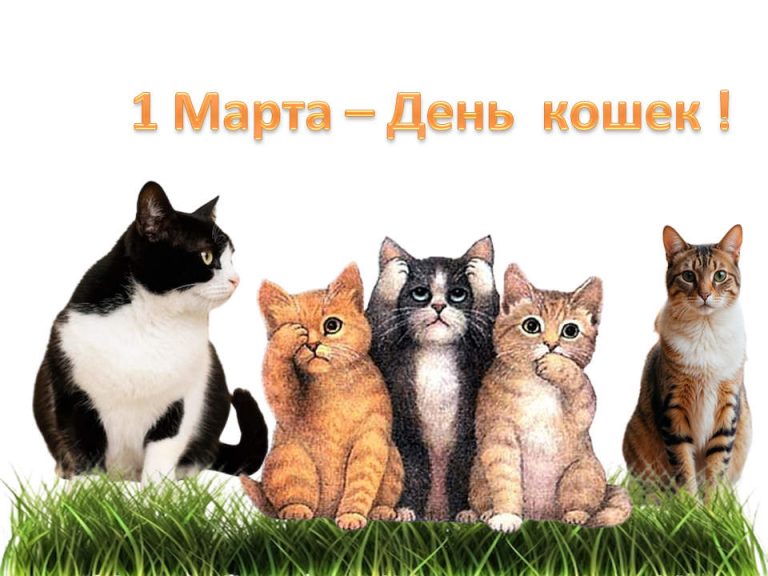 «Пушистые истории» — познавательный час