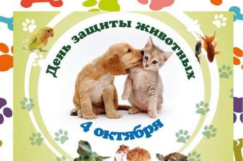 День защиты животных